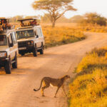 10-Day Tanzania Safari & Zanzibar Beach Holiday