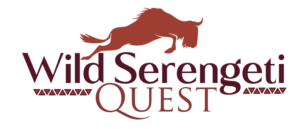 cropped-logo-01.png