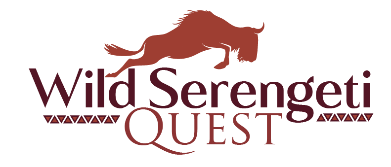 cropped-logo-01.png