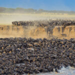 6-Day Serengeti Migration Safari
