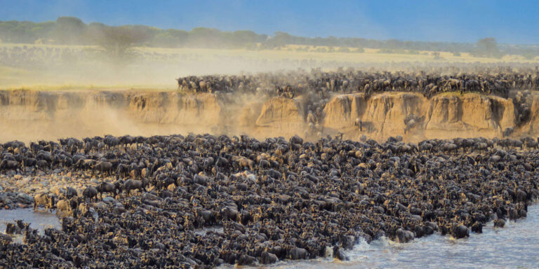 6-Day Serengeti Migration Safari
